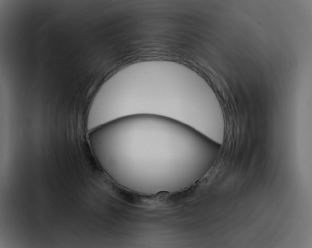 X0000088230516200705151051
