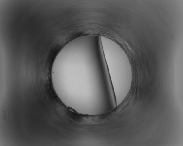X0000088230517200705151051