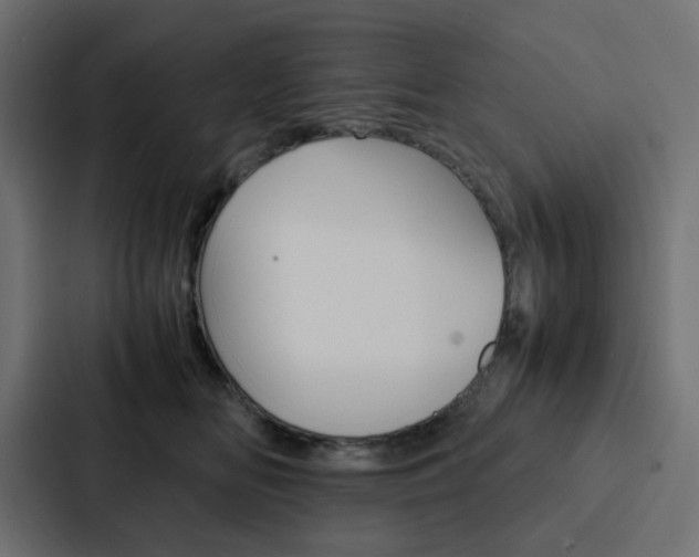 X0000088230518200705151051
