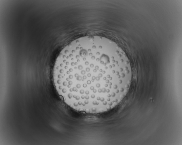X0000088230519200705151051