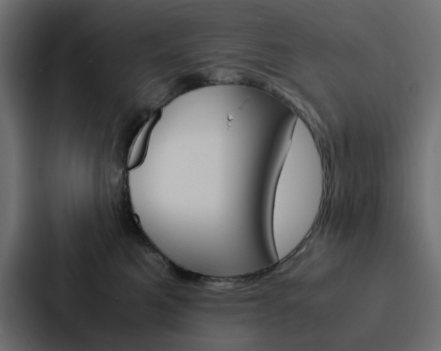 X0000088230521200705151051