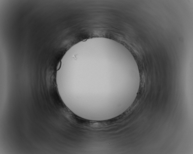 X0000088230522200705151051
