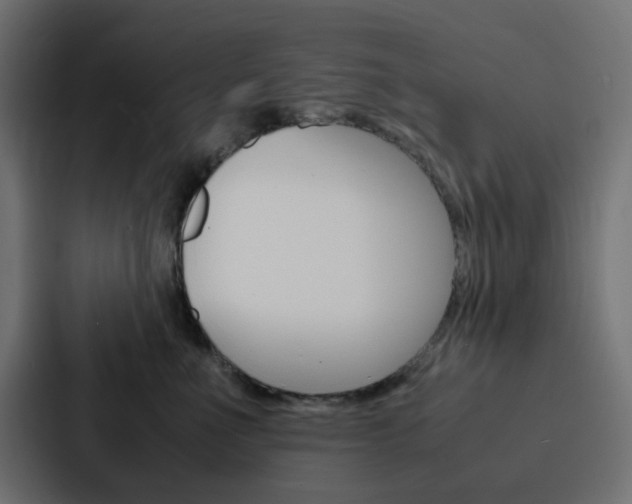 X0000088230523200705151051