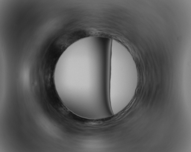 X0000088230525200705151051