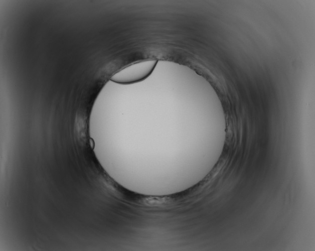 X0000088230526200705151051