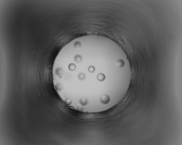 X0000088230527200705151051