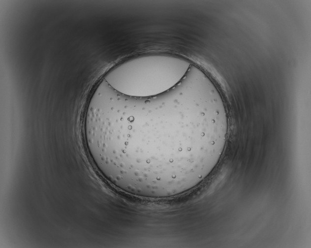 X0000088230529200705151051
