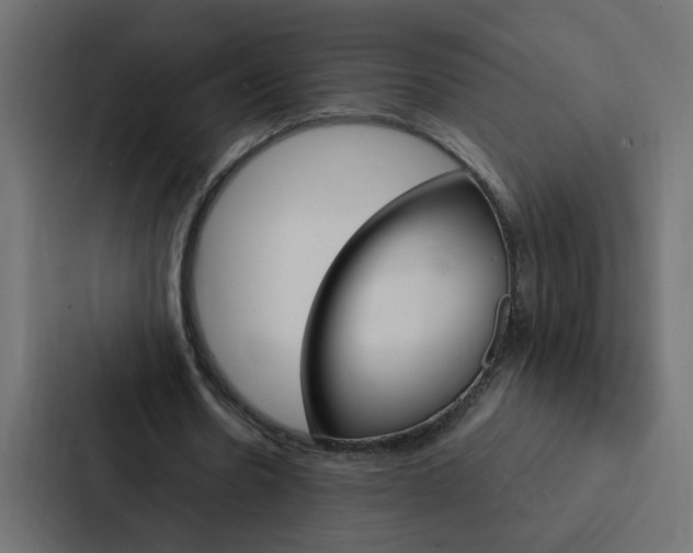 X0000088230530200705151051