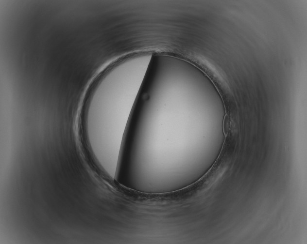 X0000088230532200705151051