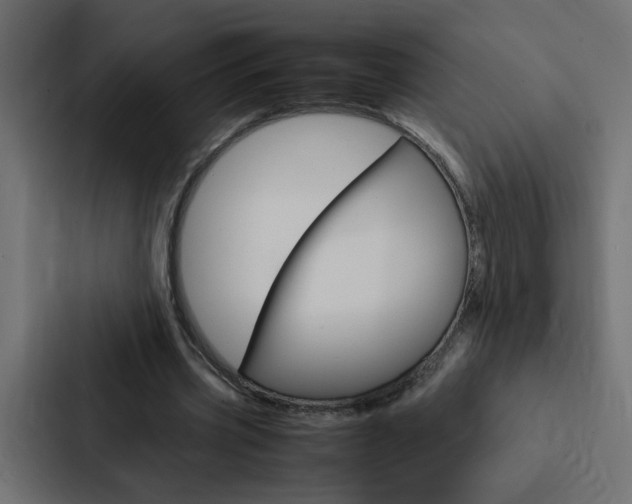X0000088230533200705151051