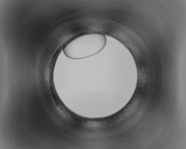 X0000088230534200705151051