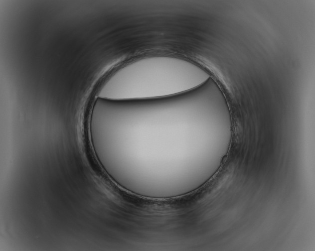 X0000088230535200705151051