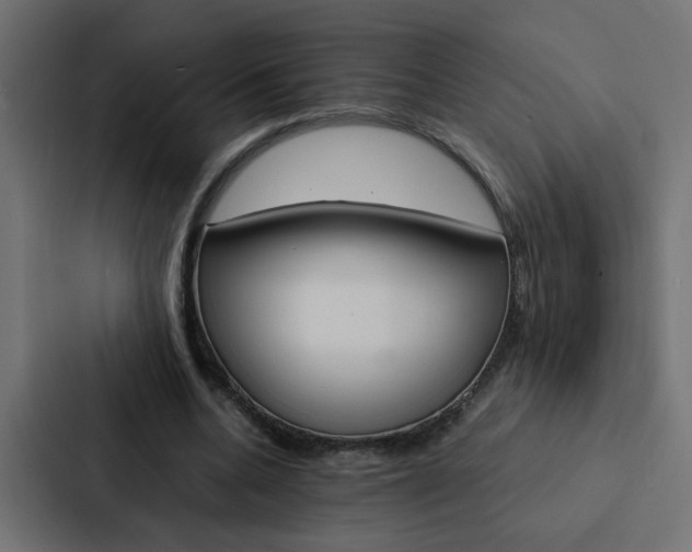 X0000088230536200705151051