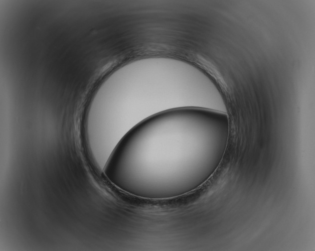 X0000088230538200705151051