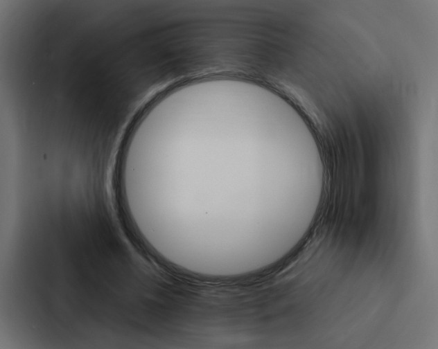 X0000088230540200705151051