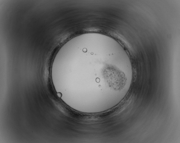 X0000088230541200705151051