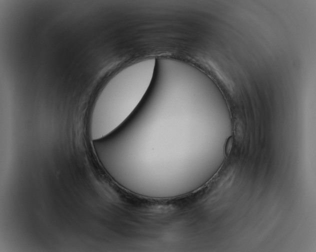 X0000088230543200705151051
