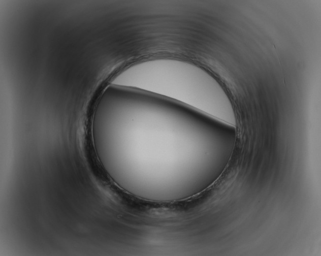 X0000088230544200705151051