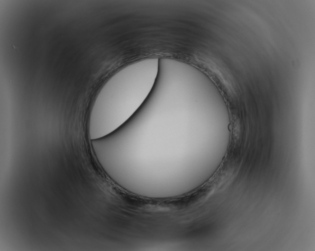 X0000088230545200705151051