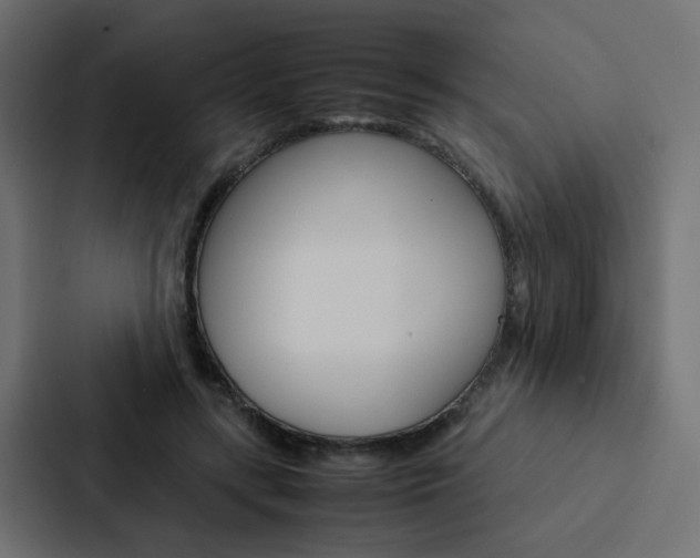 X0000088230547200705151051