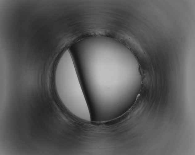 X0000088230548200705151051