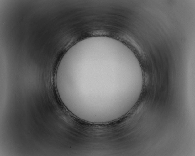 X0000088230549200705151051