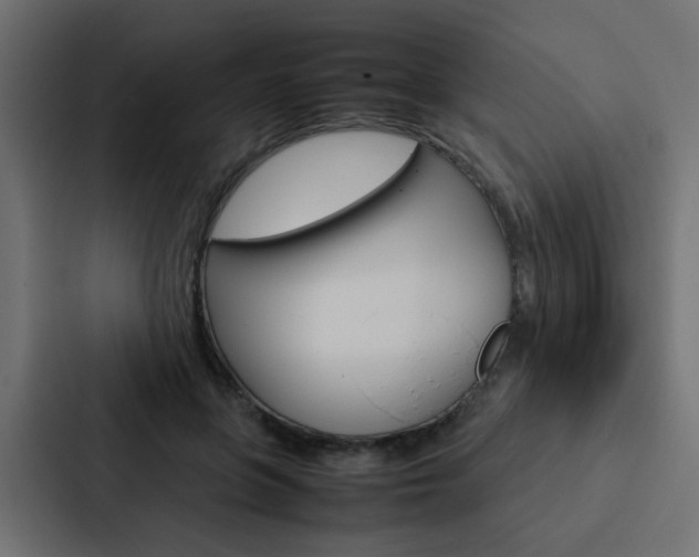 X0000088230551200705151051