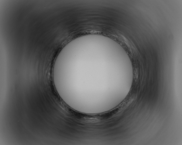 X0000088230553200705151051