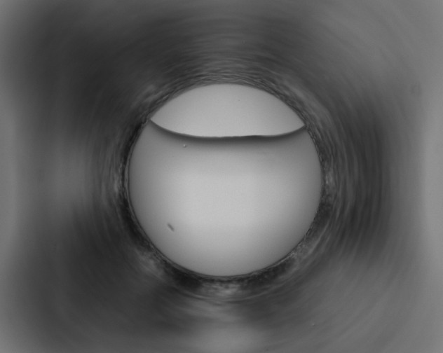 X0000088230554200705151051