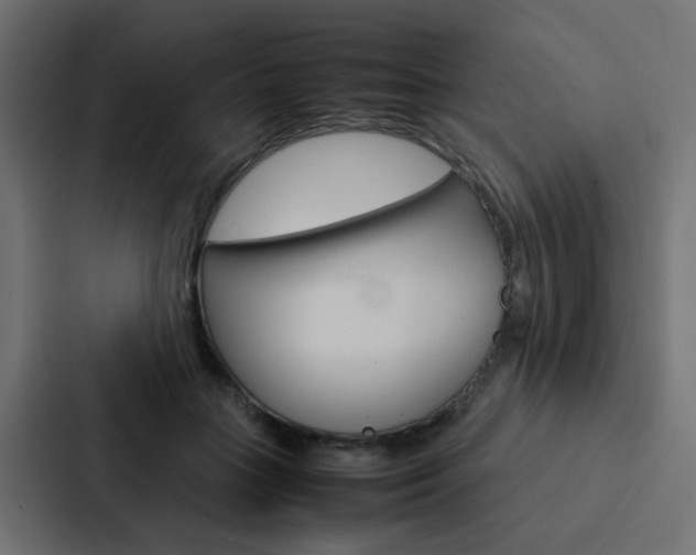 X0000088230555200705151051