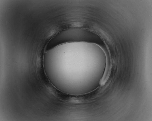 X0000088230556200705151051