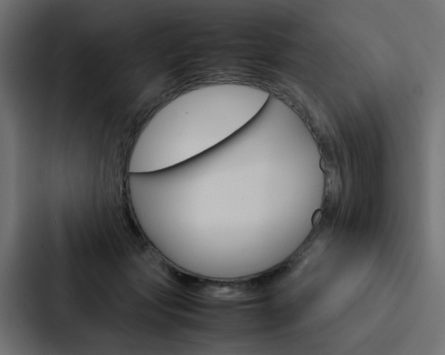 X0000088230557200705151051