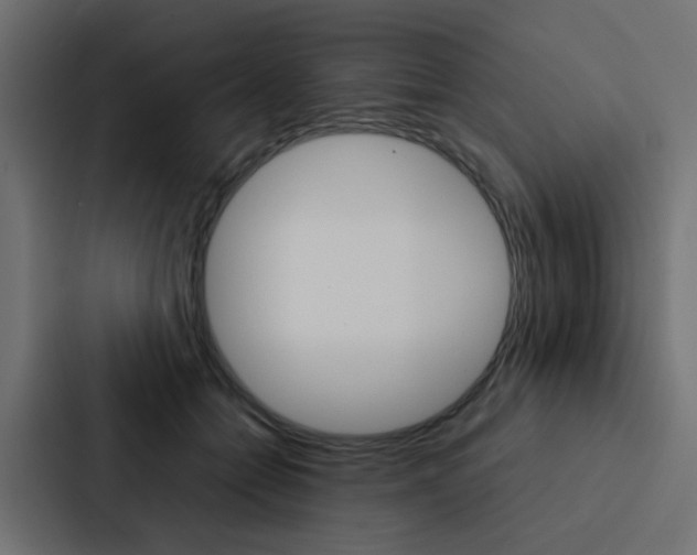 X0000088230558200705151051