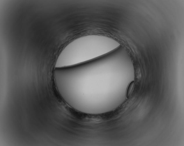 X0000088230559200705151051