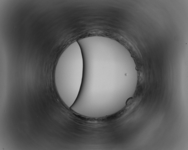 X0000088230561200705151051