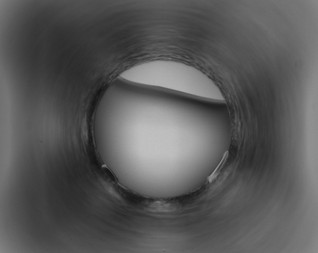 X0000088230562200705151051