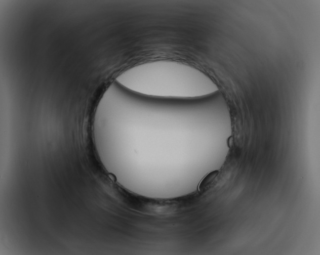 X0000088230563200705151051