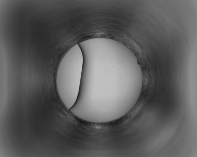 X0000088230565200705151051