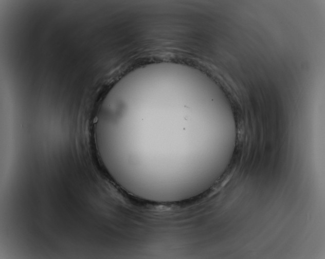 X0000088230566200705151051