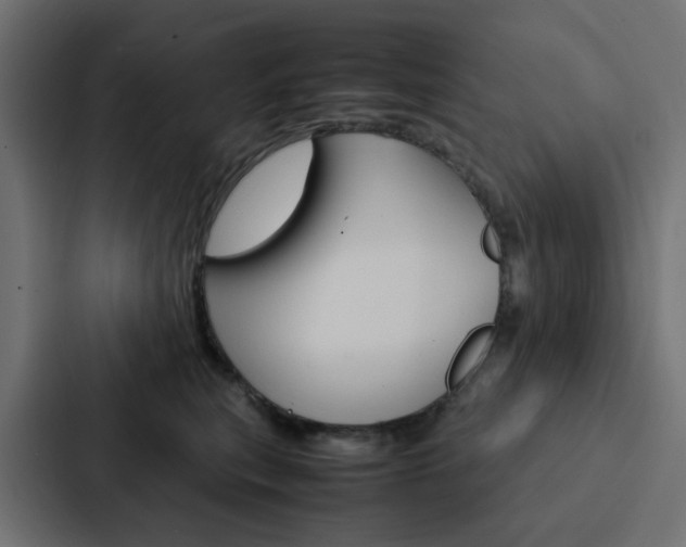 X0000088230567200705151051
