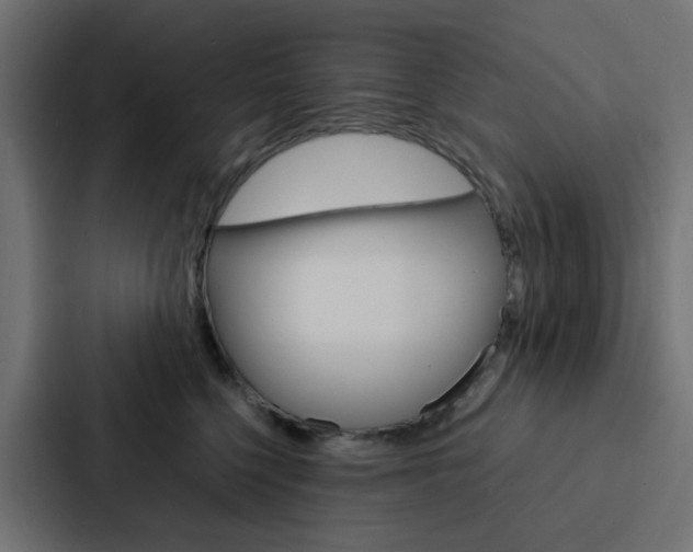 X0000088230568200705151051