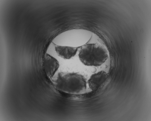 X0000088230569200705151051