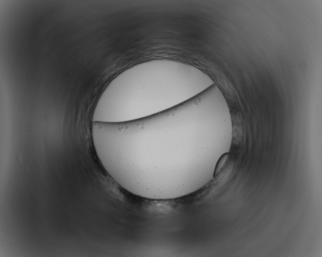 X0000088230573200705151051