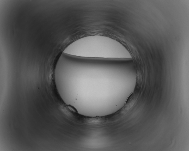 X0000088230574200705151051