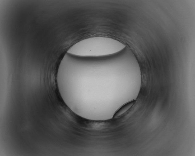 X0000088230575200705151051