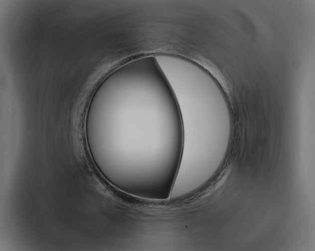 X0000088230577200705151051