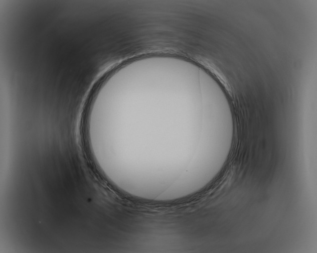 X0000088230579200705151050