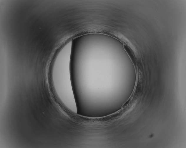 X0000088230581200705151050