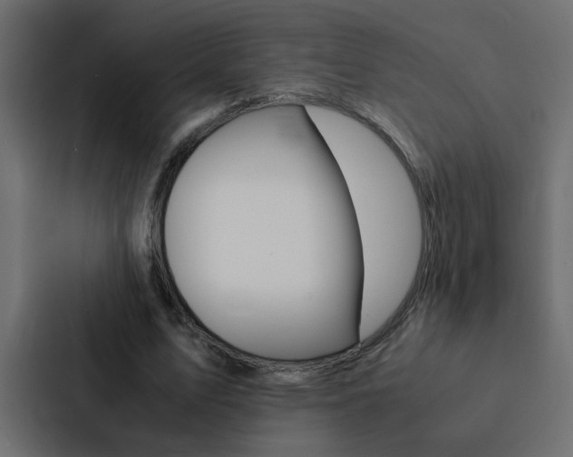 X0000088230583200705151050