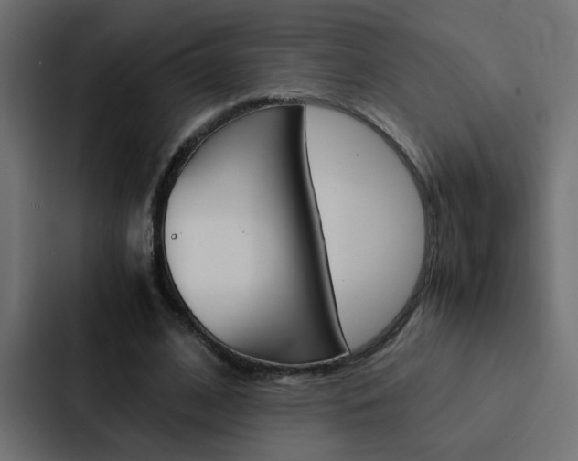 X0000088230584200705151050